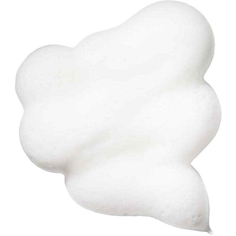 Style + Protect On The Rise Root Lifting Mousse 294G