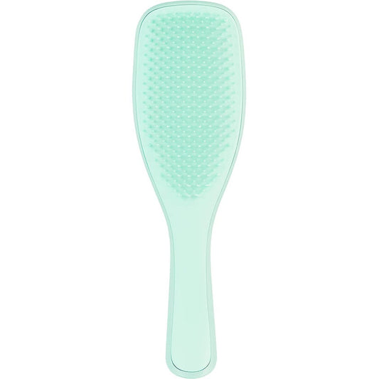 Fine & Fragile Wet Detangler - Mint