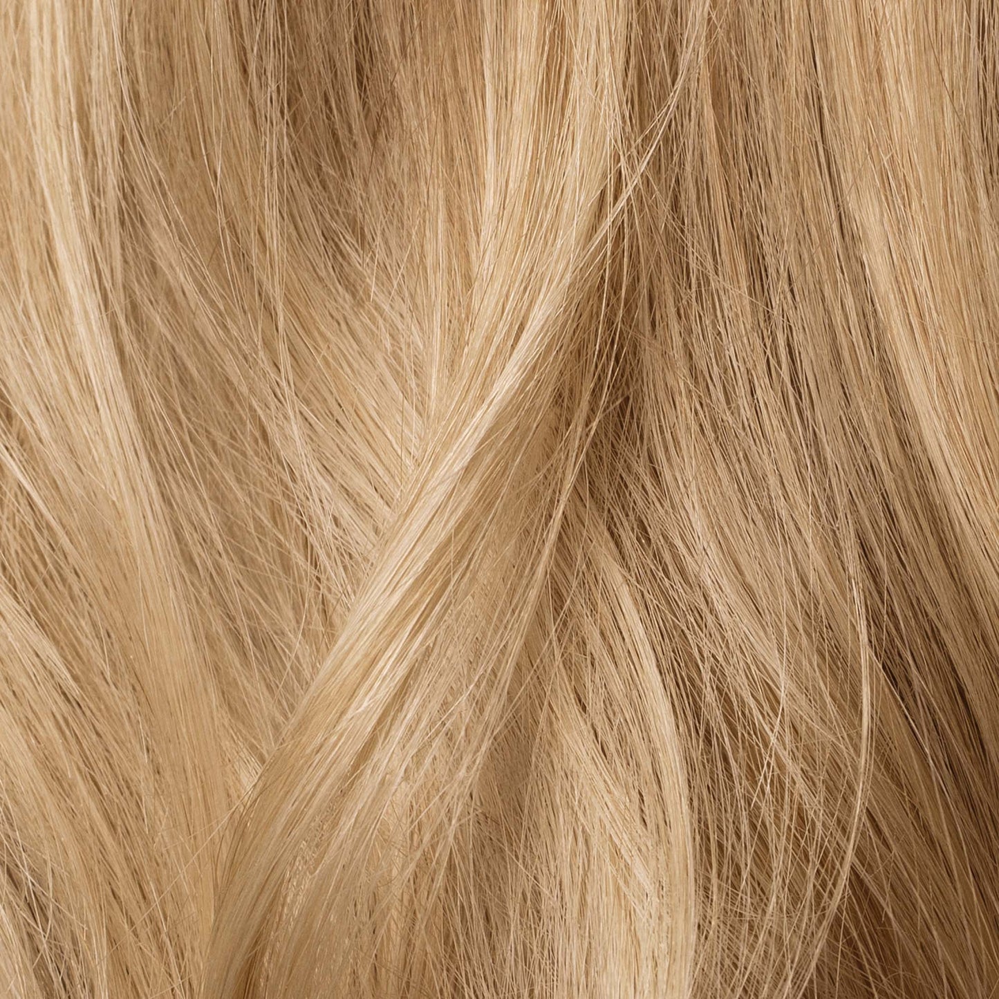 Permanent Color Kit Olsens- Light Beige Blonde