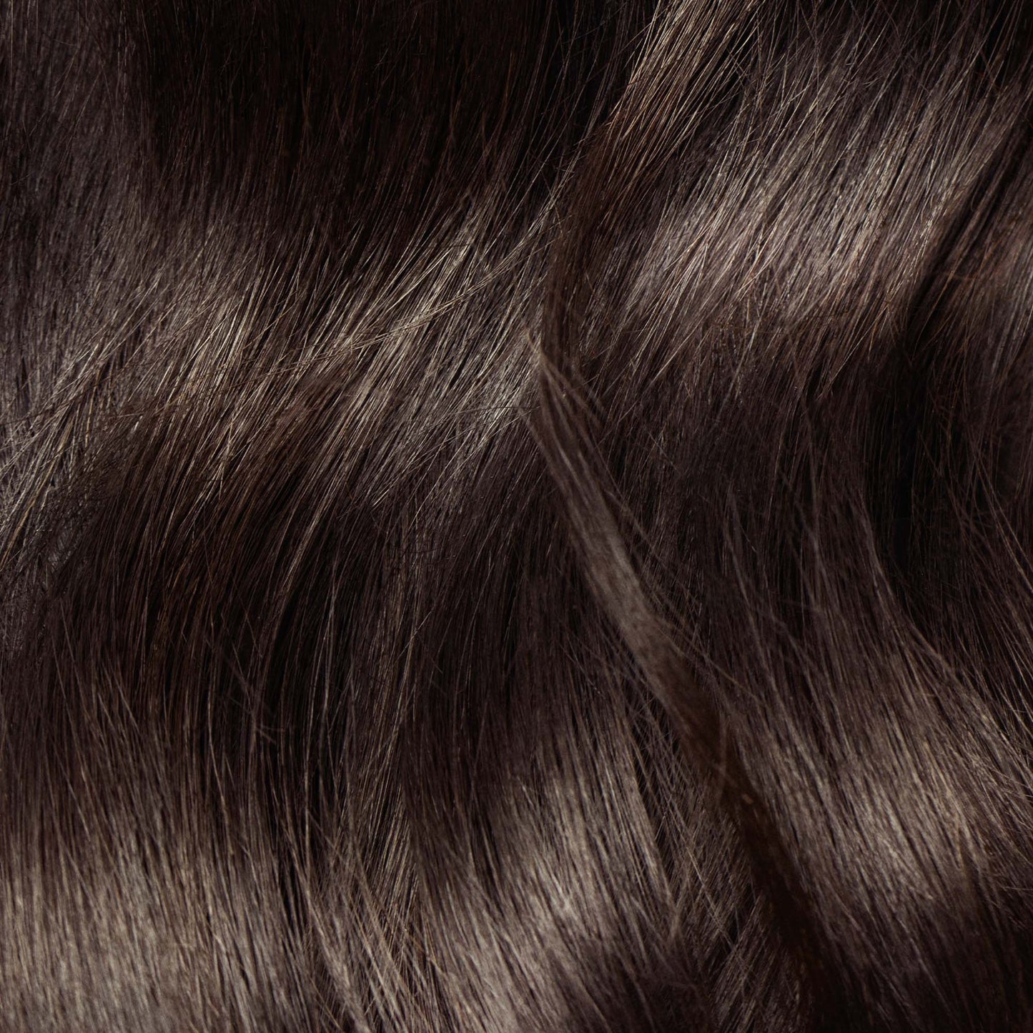 Permanent Color Kit 1-800 Espresso- Golden Ash Brown