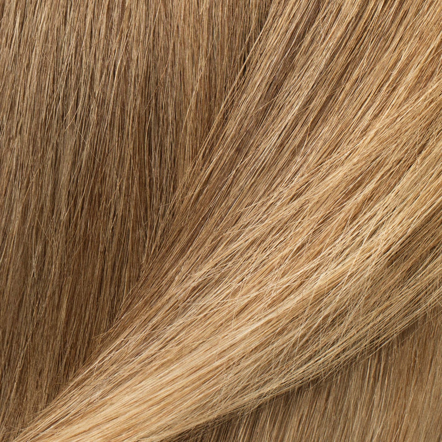 Permanent Color Kit Pampas Blonde- Light Natural Blonde