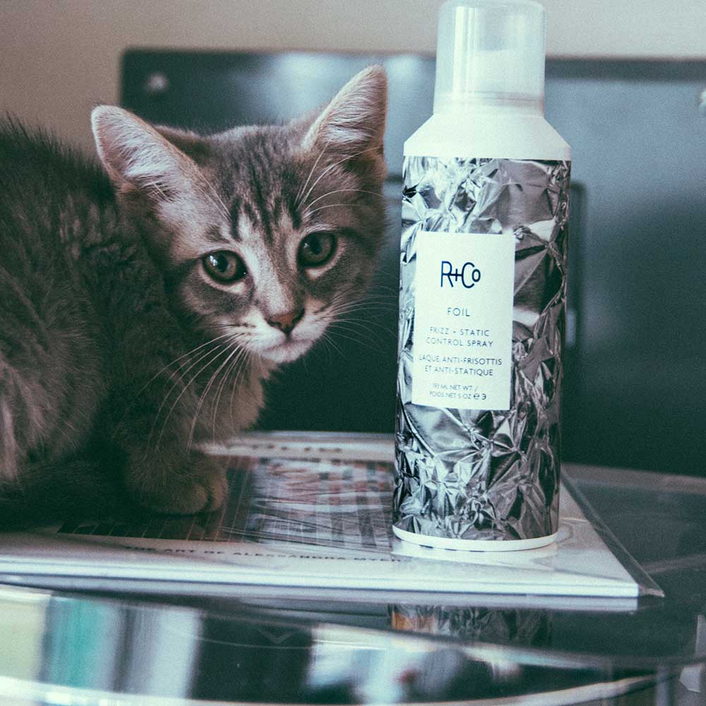 FOIL Frizz + Static Control Spray 193ml