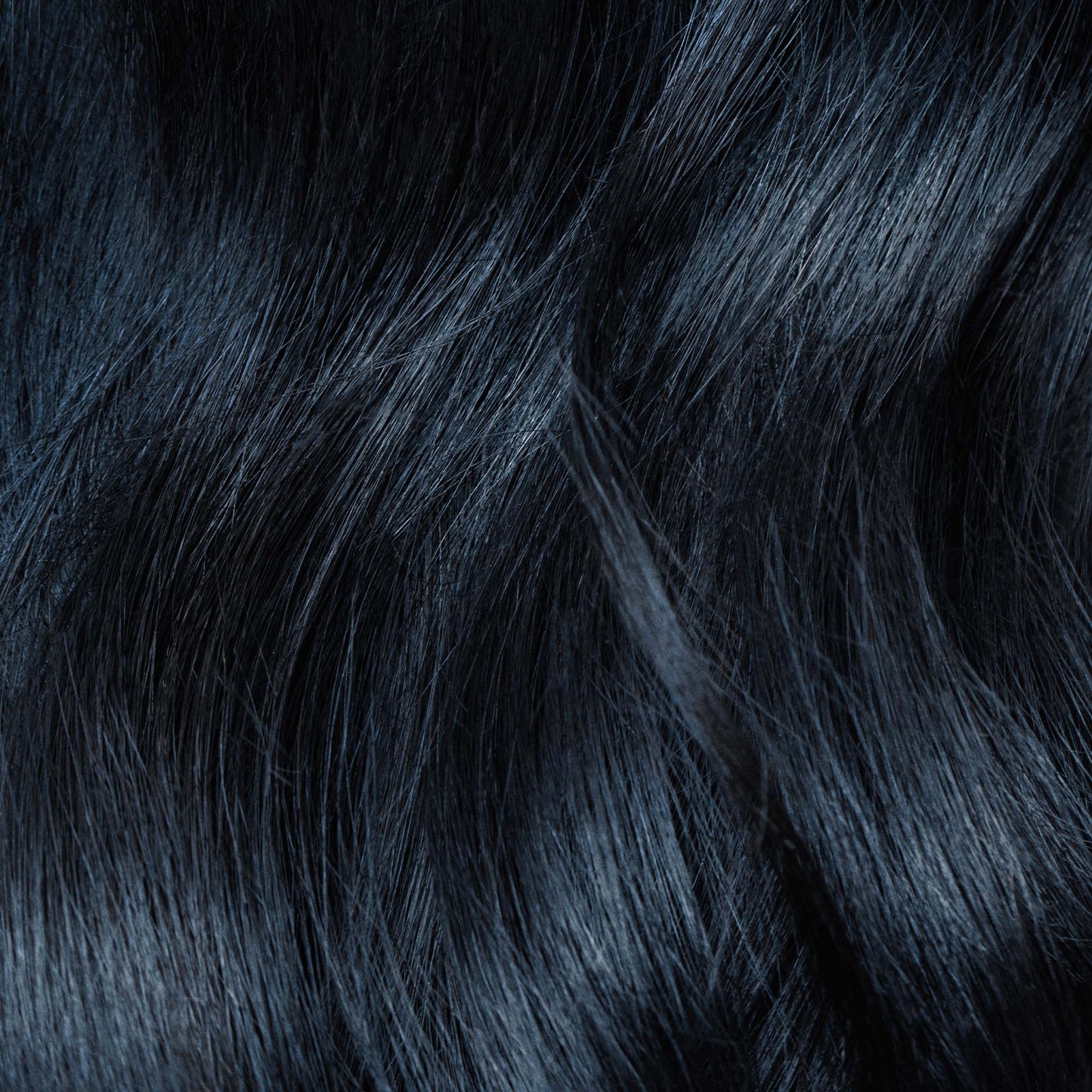 IGK Permanent Color Kit Moon Dance- Darkest Blue Black