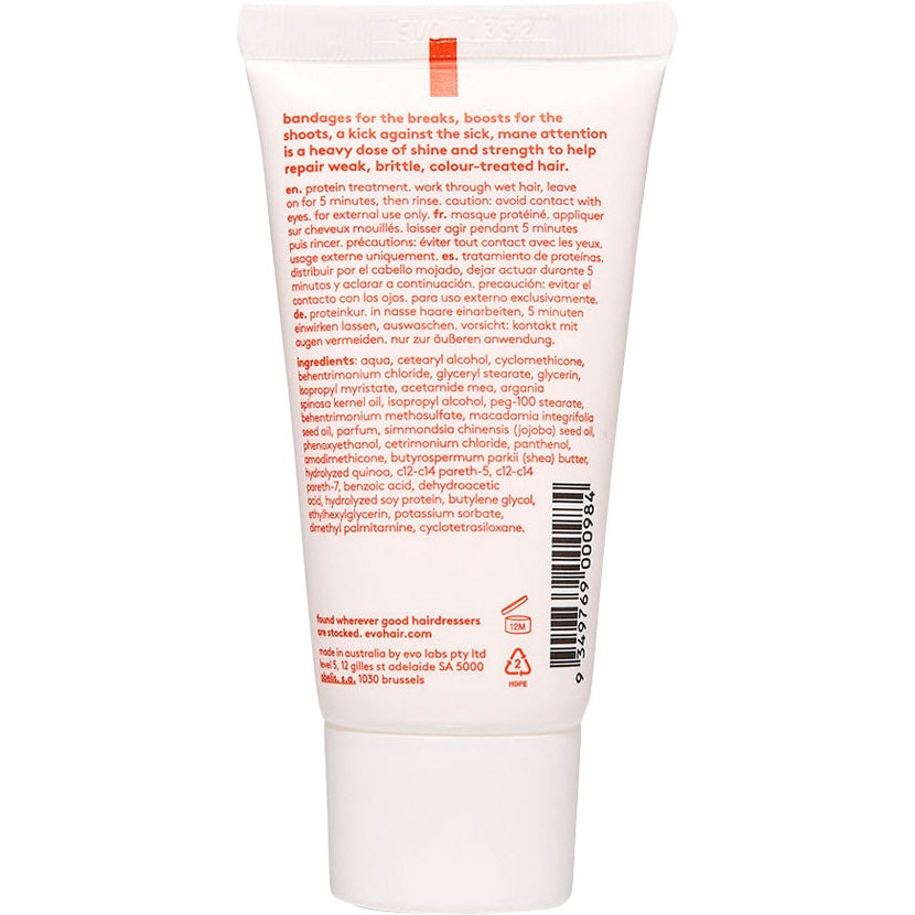 Mane Attention Protein Treatment 30ml