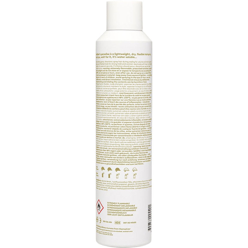 Builder'S Paradise Working Spray 300ml