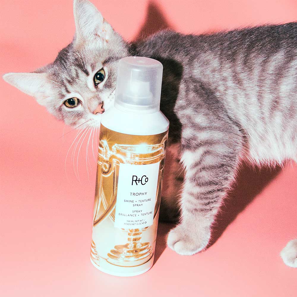 TROPHY Shine + Texture Spray 198ml